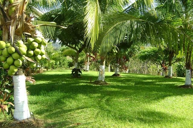 Villa Guarias بونتاريناس المظهر الخارجي الصورة